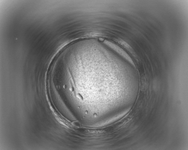 X0000064751039200602241828