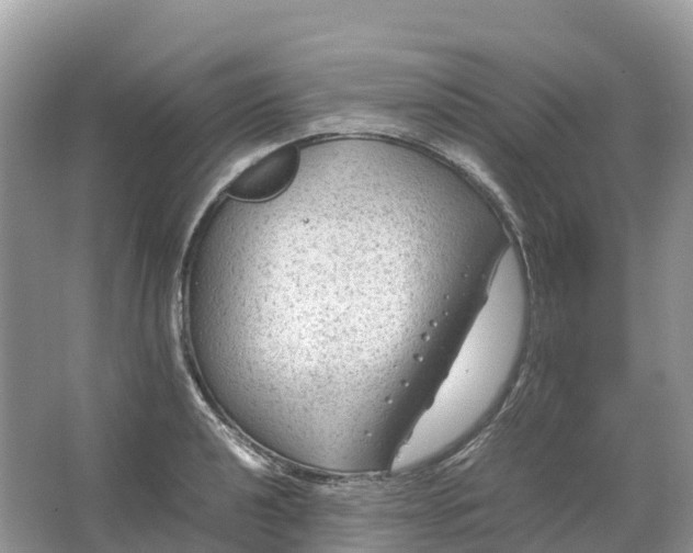 X0000064751040200602241828