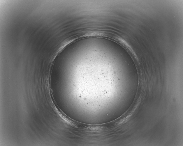 X0000064751041200602241828