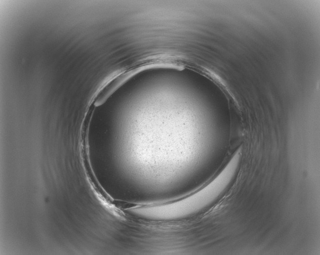 X0000064751042200602241828