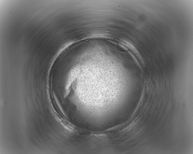 X0000064751043200602241828