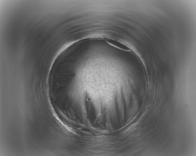 X0000064751045200602241828