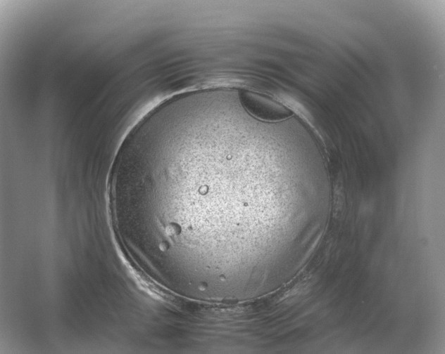 X0000064751047200602241828