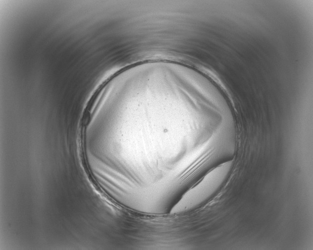 X0000064751048200602241828