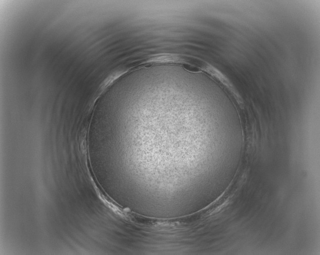 X0000064751049200602241828