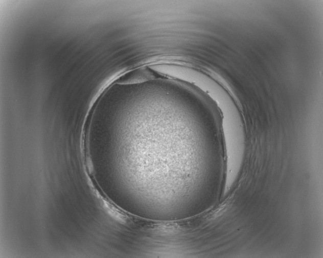 X0000064751050200602241828