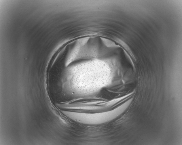 X0000064751051200602241828