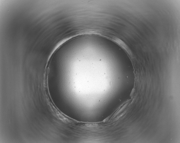 X0000064751052200602241828