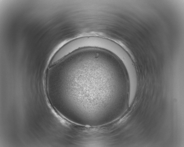 X0000064751054200602241828