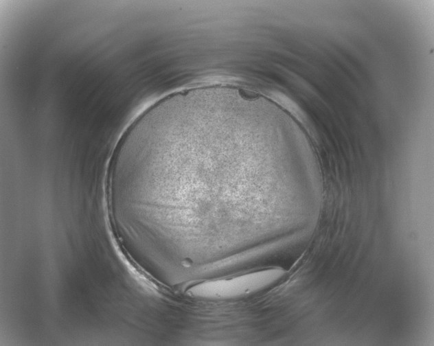 X0000064751055200602241828