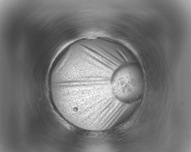 X0000064751056200602241828