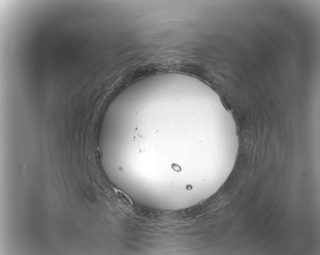 X0000064751057200602241827