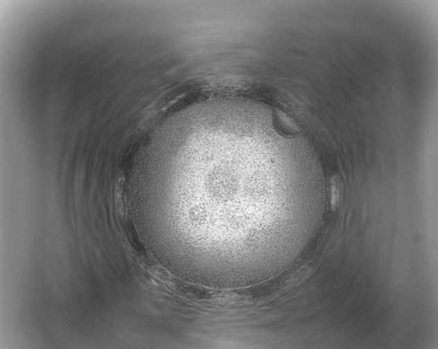 X0000064751059200602241827