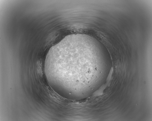 X0000064751060200602241827