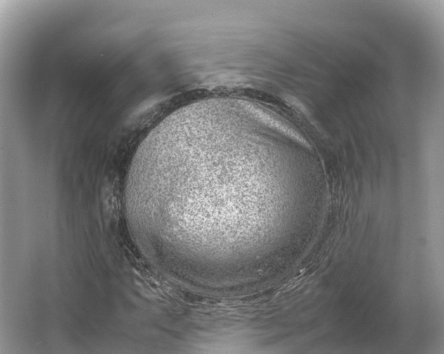 X0000064751063200602241827