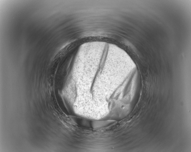 X0000064751064200602241827