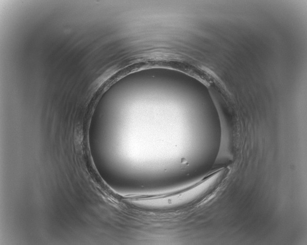 X0000064751065200602241827