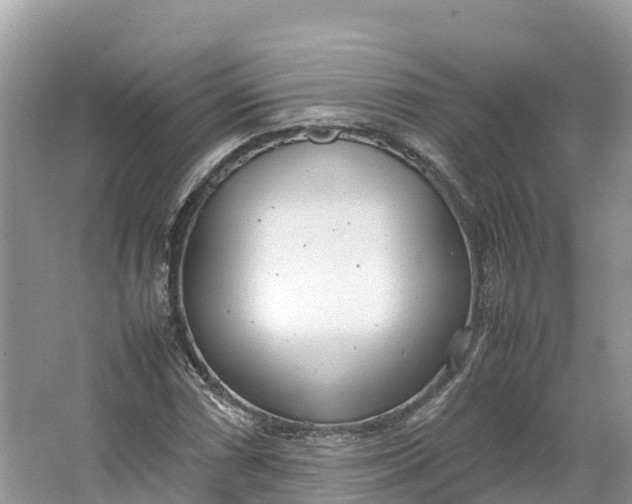 X0000064751066200602241827