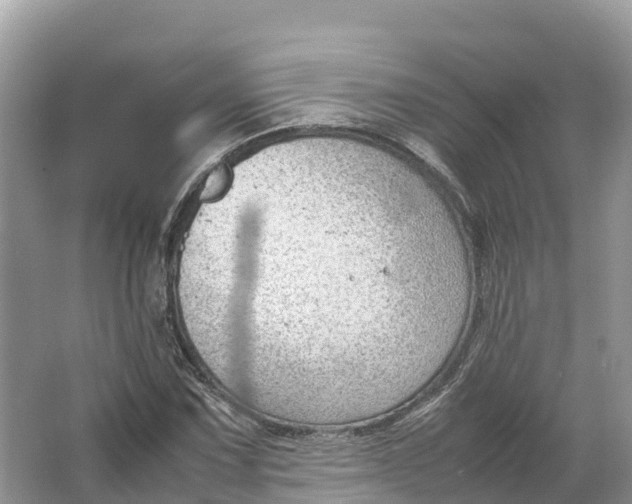 X0000064751067200602241827