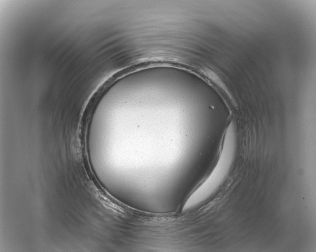 X0000064751068200602241827