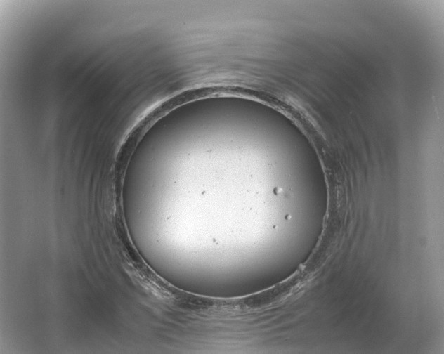 X0000064751069200602241827