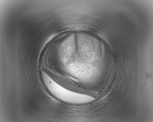 X0000064751071200602241827