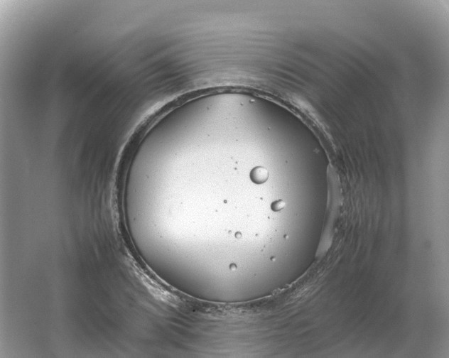 X0000064751072200602241827