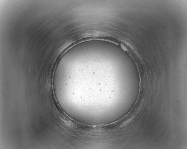 X0000064751073200602241827