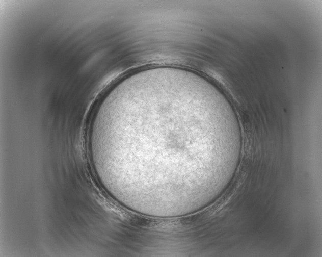 X0000064751074200602241827