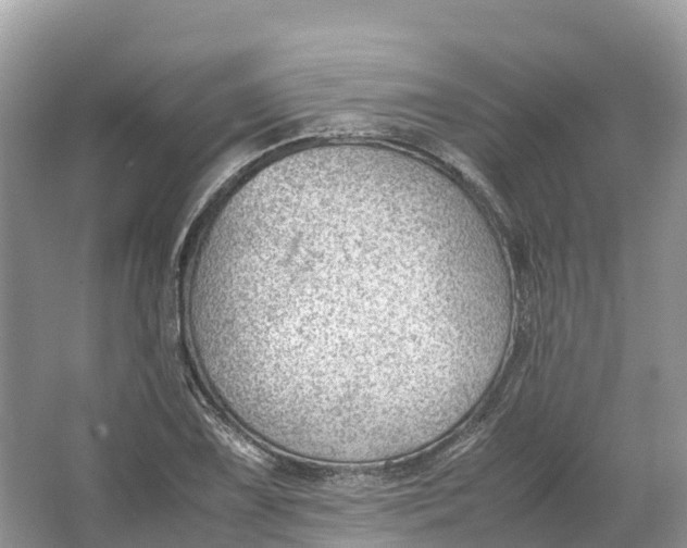 X0000064751075200602241827