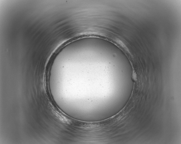 X0000064751076200602241827