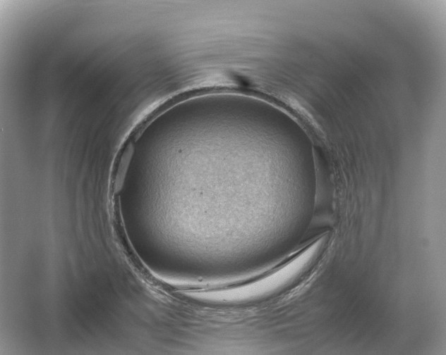 X0000064751077200602241827