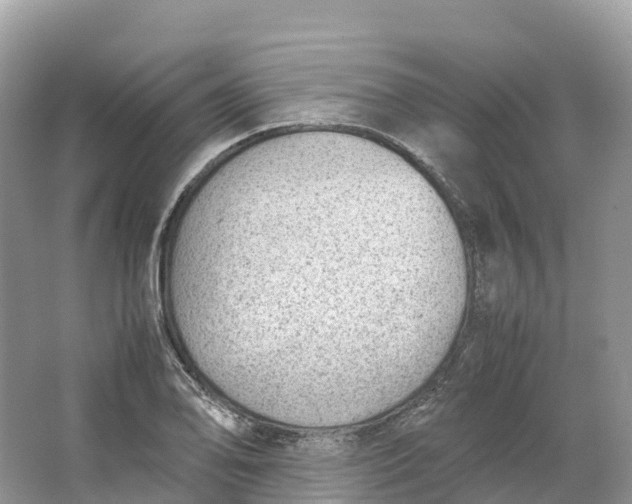 X0000064751078200602241827