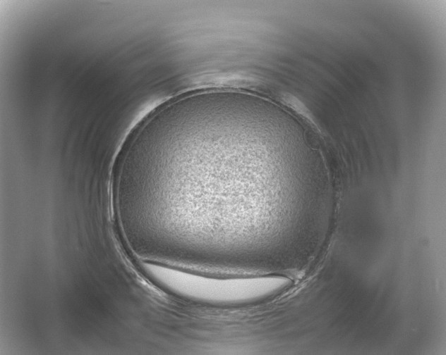 X0000064751079200602241827