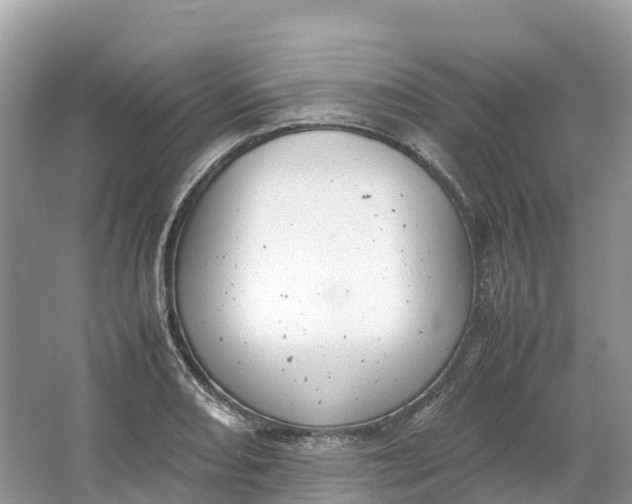 X0000064751082200602241827