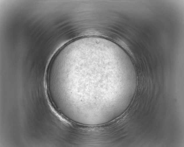 X0000064751084200602241827