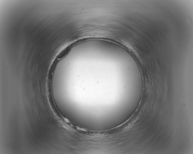 X0000064751085200602241827