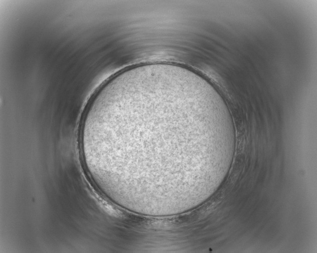 X0000064751086200602241827