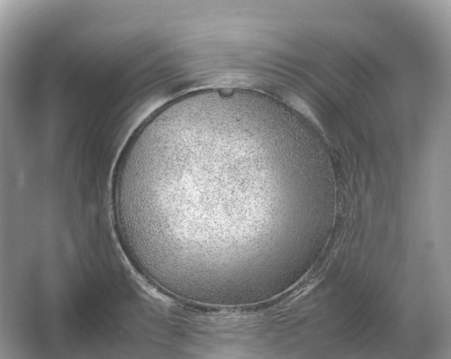 X0000064751087200602241827