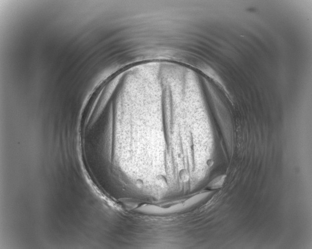 X0000064751088200602241826