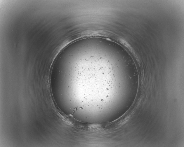 X0000064751089200602241826