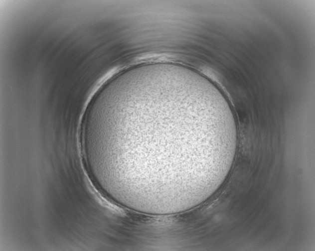 X0000064751090200602241826