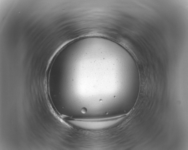 X0000064751092200602241826