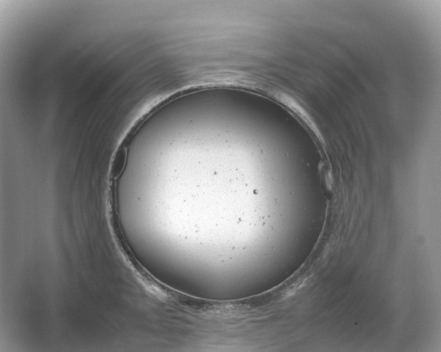 X0000064751093200602241826