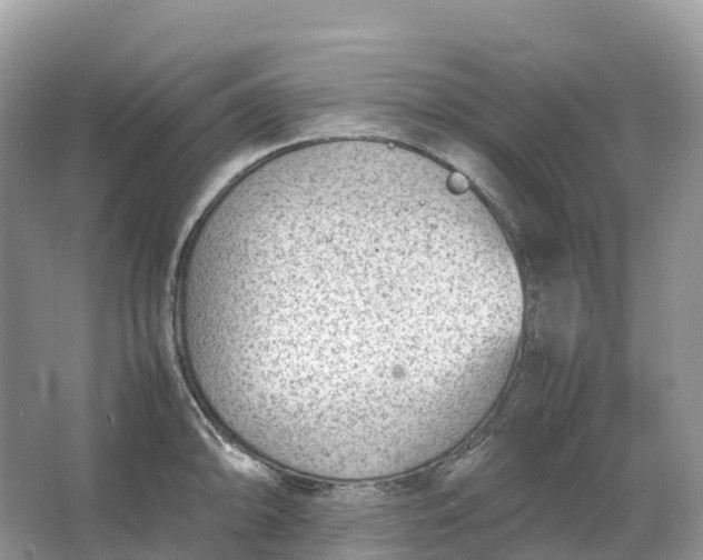 X0000064751094200602241826