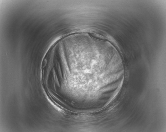 X0000064751095200602241826