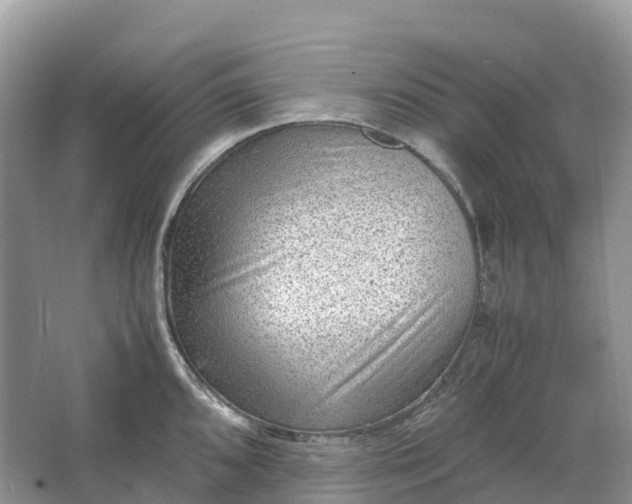 X0000064751096200602241826