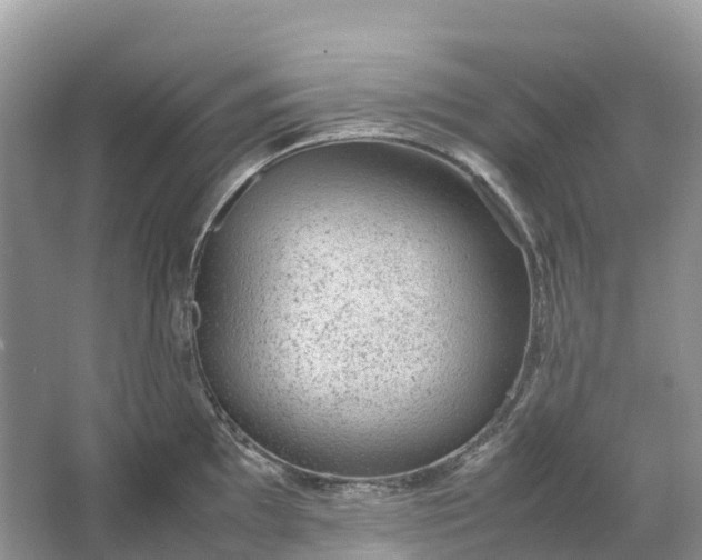 X0000064751097200602241826