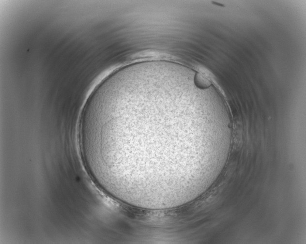 X0000064751098200602241826