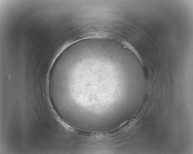 X0000064751099200602241826